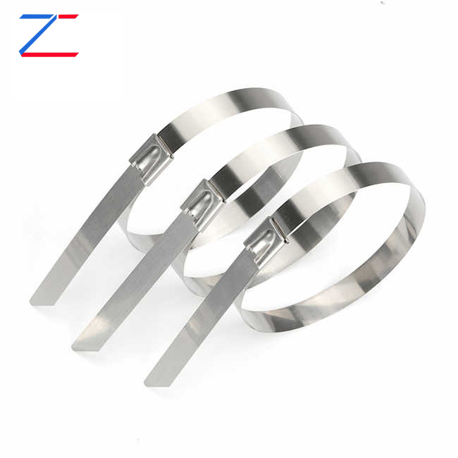 Hoe leveren Ball Lock roestvrijstalen kabelbinders ongeëvenaarde duurzaamheid en prestaties?