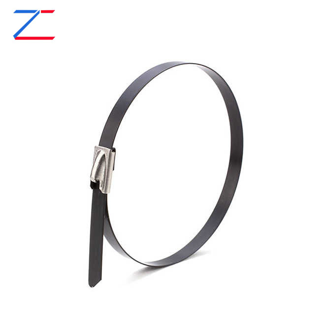 Waarom kiezen voor gecoate roestvrijstalen kabelbinders?